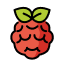 Raspberry Pi